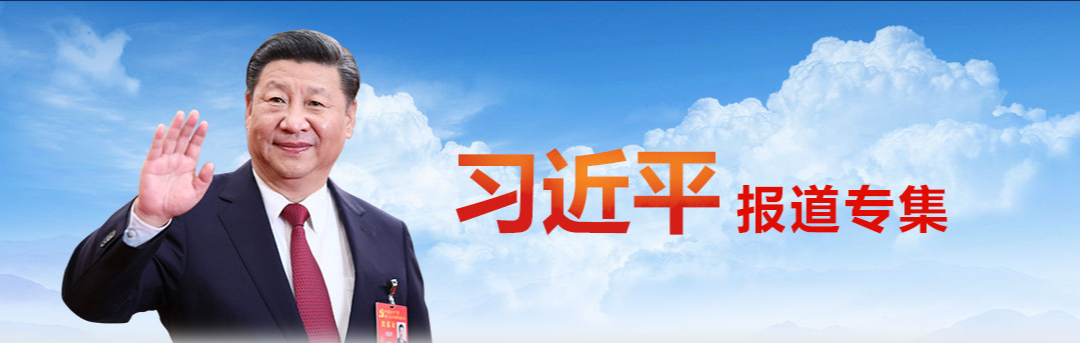 学习进行时